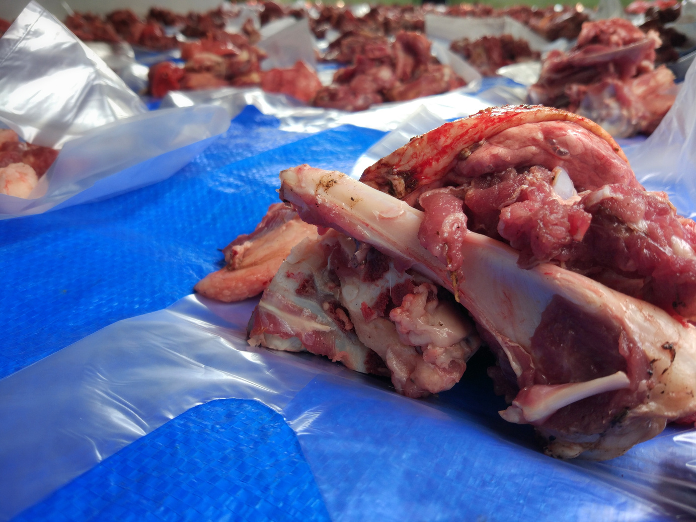 Lamb raw meat at the Feast of Qurban during Eid Al Adha